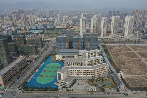 实探 滨海新区这几所学校现状,现场实拍图出炉