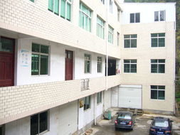 瑞安市华厦工艺品