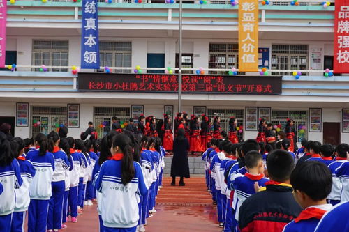 校园风采 长沙市小杜鹃艺术实验学校 书情惬意 悦读阅美