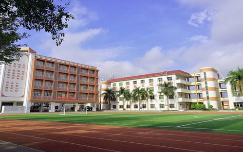 深圳市宝安区水田实验学校