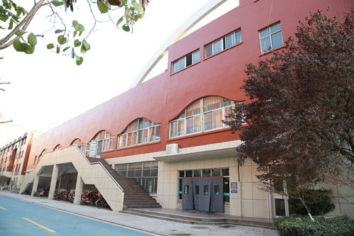 临沂商城实验学校简介