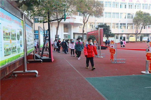 楚州实小 开展新学期开学第一课主题活动