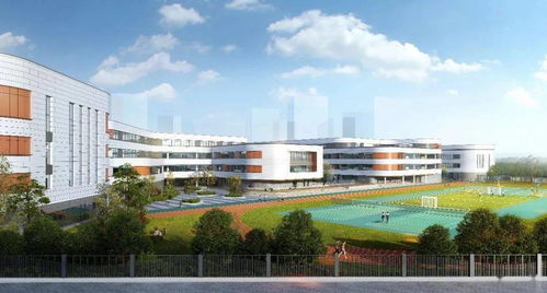 瑞安这个新区不得了,这所36班小学要开建啦 你家可能要成学区房了