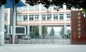 温州瑞安市马鞍山实验小学英语老师