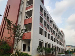瑞安一批新改扩建中小学幼儿园将竣工投用 2019年竣工学校大检阅 五