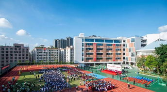 龙华区教育系统公开选聘教师31名 还有两所学校选调优秀教师