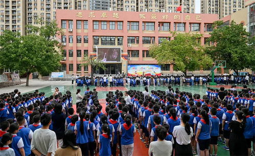 济南市历城区实验小学按下开学 启动键