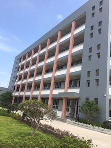 瑞安一批新改扩建中小学幼儿园将竣工投用 2019年竣工学校大检阅 六