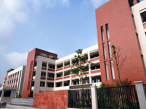 瑞安一批新改扩建中小学幼儿园将竣工投用 2019年竣工学校大检阅 五