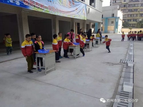 体验科学 快乐成长 梧州市第一实验小学第四届科技节系列活动 一