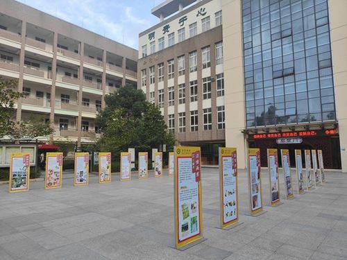 乡村学校少年宫展播② 瑞安市江南实验小学乡村少年宫
