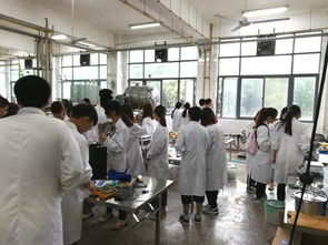 食品工艺学 虚拟仿真实验首次应用于本科实验教学