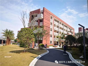 瑞安市新纪元高级中学 重本名校锁定清华