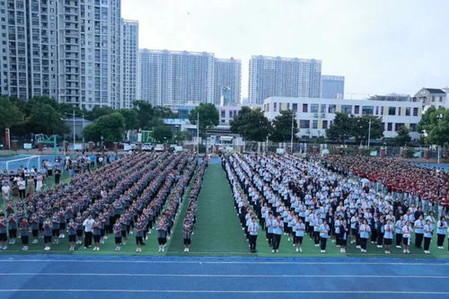 苏州市 流动的荣誉室 军休干部事迹巡展走进南环实验中学