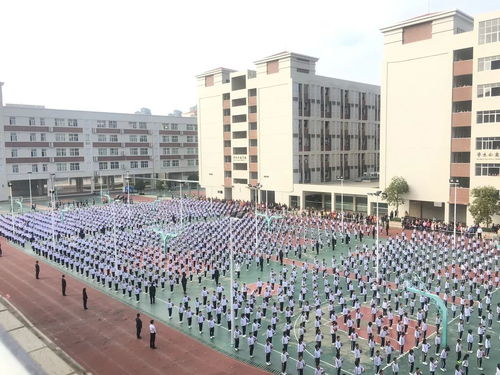 最好的成长,是与你携手同行 惠州市光正实验学校小学部三至六年级的家长开放日