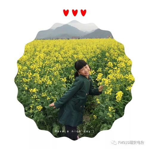 瑞安市莘塍实验小学吴依凡 笋芽儿