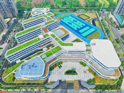 马上投用 瑞安这所新学校实景照抢先看