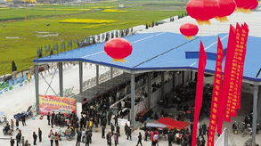 普陀新闻网 - 是综合性、多媒体的普陀第一门户网站