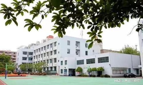 联动价21w ㎡ 瑞安杨树浦置业平凉项目 规划方案公示