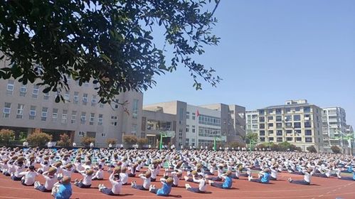 乡村学校少年宫展播② 瑞安市江南实验小学乡村少年宫