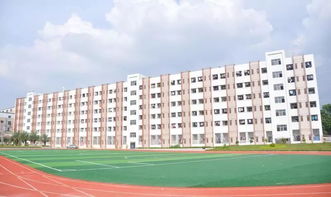 大新闻 省实托管白云实验学校,白云省实横空出世